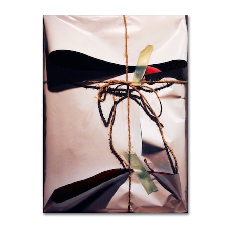 Roderick Stevens 'White Wrap With Twine' Canvas Art,35x47